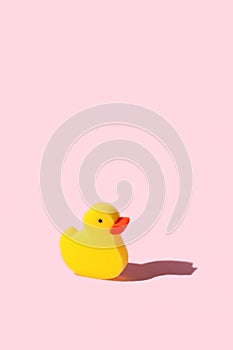 Yellow toy duck sponge or washcloth on pink background. Trendy beauty bathtime wellness hygiene photography. Bath products set,