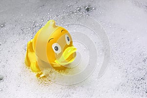 Yellow toy rubber duck among the soap bubbles in the bath