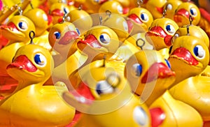 yellow toy rubber ducks photo