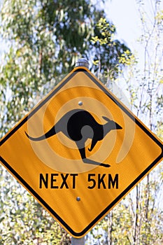 Yellow traffic sign with kangaroo warning