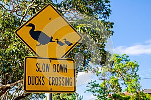 Yellow Traffic sign for Slow down duck crossing.