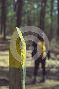 Yellow trail marker with woman hiker wearing yellow backpack on
