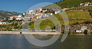 Yellow train passing in Douro railway and vineyards as background