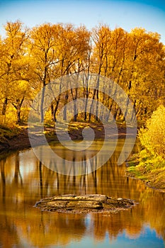 Yellow trees and river and blue sky.
