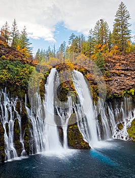 Yellow trees at the top of Burney Falls