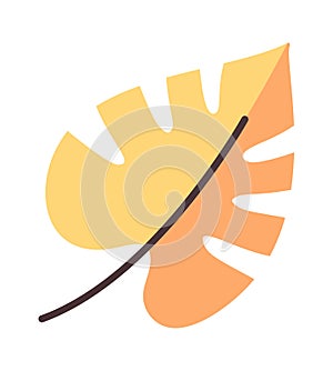 Yellow tropical palm tree leaf