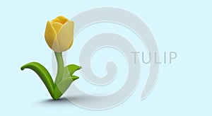 Yellow tulip on blue background. Welcome horizontal concept in realistic style