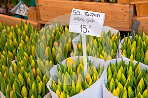 Yellow tulip bulbs for sale at Bloemenmarkt, Amsterdam flower market