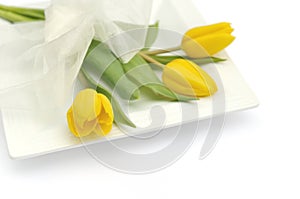 Yellow tulip flowers