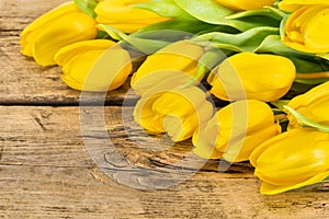 Yellow tulip flowers