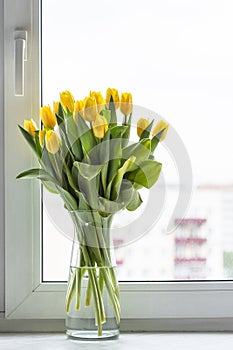 Yellow tulip flowers in glass vase on window sill