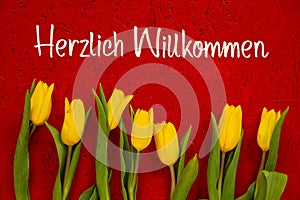 Yellow Tulip Flowers, Red Background, Text Willkommen Means Welcome