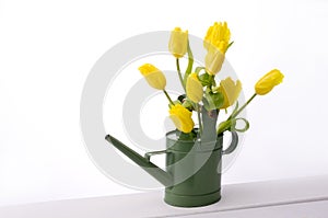 Yellow tulips