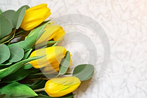 Yellow tulips bunch on white table. Flowers background with copy space. Spring fresh tulips. Happy Mother`s Day card