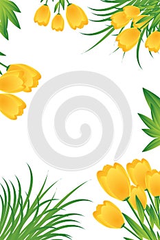 Yellow tulips card