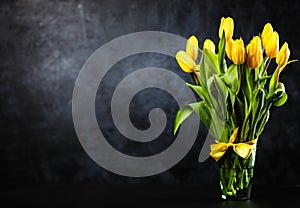 Yellow tulips on dark background