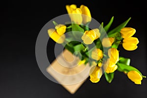 Yellow tulips on dark background