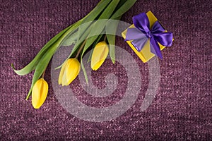Yellow tulips and gift box on violet knitted background