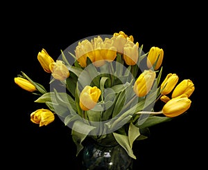 Yellow tulips in a glass vase on a black background. beautiful flowers. St. Valentine`s Day. March 8