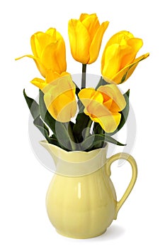 Yellow Tulips in Jug on White