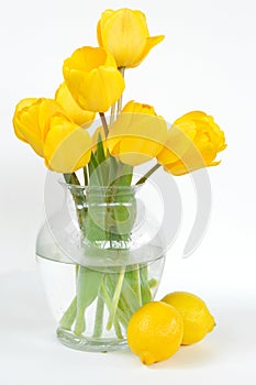 Yellow Tulips with Lemons