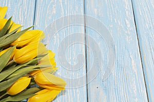 Yellow tulips on a light blue wooden background