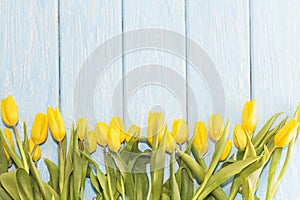 Yellow tulips on a light blue wooden background
