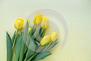 Yellow tulips on light glitter background. Minimal flat lay concept.