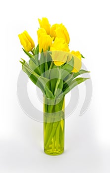 Yellow tulips in a transparent vase