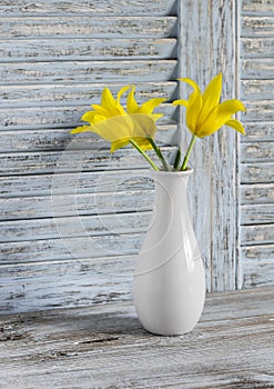 Yellow tulips in a white ceramic vase on blue wooden background.