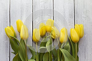 Yellow Tulips on White Wood