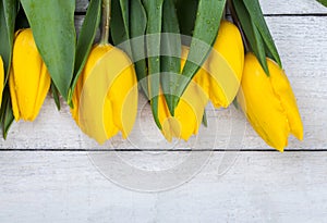 Yellow tulips on white wooden background