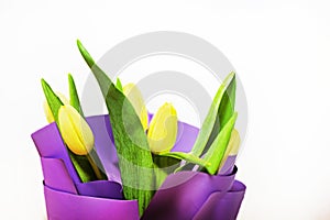 yellow tulips wrapped in purple paper on a light background. flower bouquet, mother\'s day, women\'s day