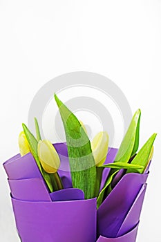 yellow tulips wrapped in purple paper on a light background. flower bouquet, mother\'s day, women\'s day, vertical