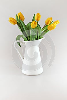 Yellow tullips in jug