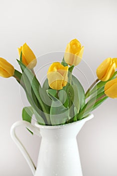 Yellow tullips in jug