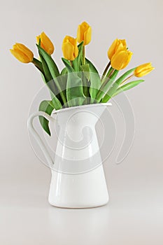 Yellow tullips in jug