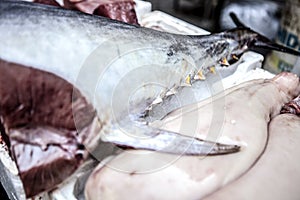 Yellow tuna fins section sold in a fishmarket, Catania