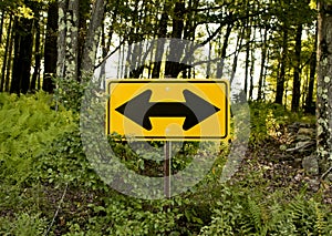 Yellow two way sign on side of country road in woods