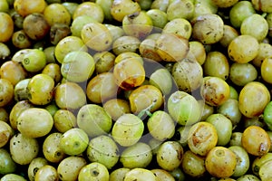 Yellow typical coffee