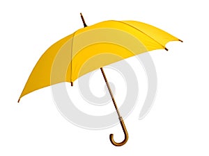 Yellow umbrella photo