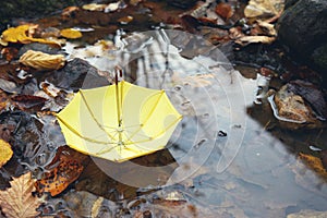 Yellow umbrella in a poddle with autumn fall leaves. Autumn concept