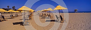 Yellow umbrellas and beach chairs