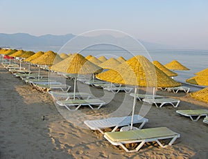 Yellow umbrellas and sunbeds on the beach