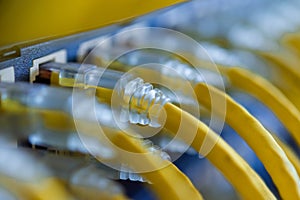 Yellow UTP cables connected on patch panel photo