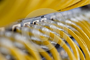 Yellow UTP cables connected on patch panel