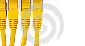 Yellow UTP patch cords isolated on the white background