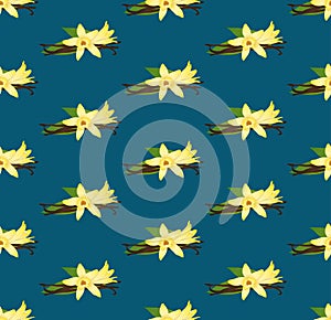 Yellow Vanilla Planifolia Flower on Indigo Blue Background. Vector Illustration