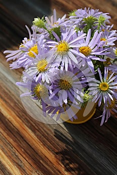 Yellow vase with bouquet of meadow purple daisies on wooden back