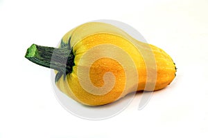 Yellow vegetable marrow.